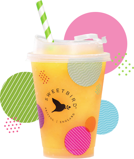 New Sweetbird Reusable Cold Cup