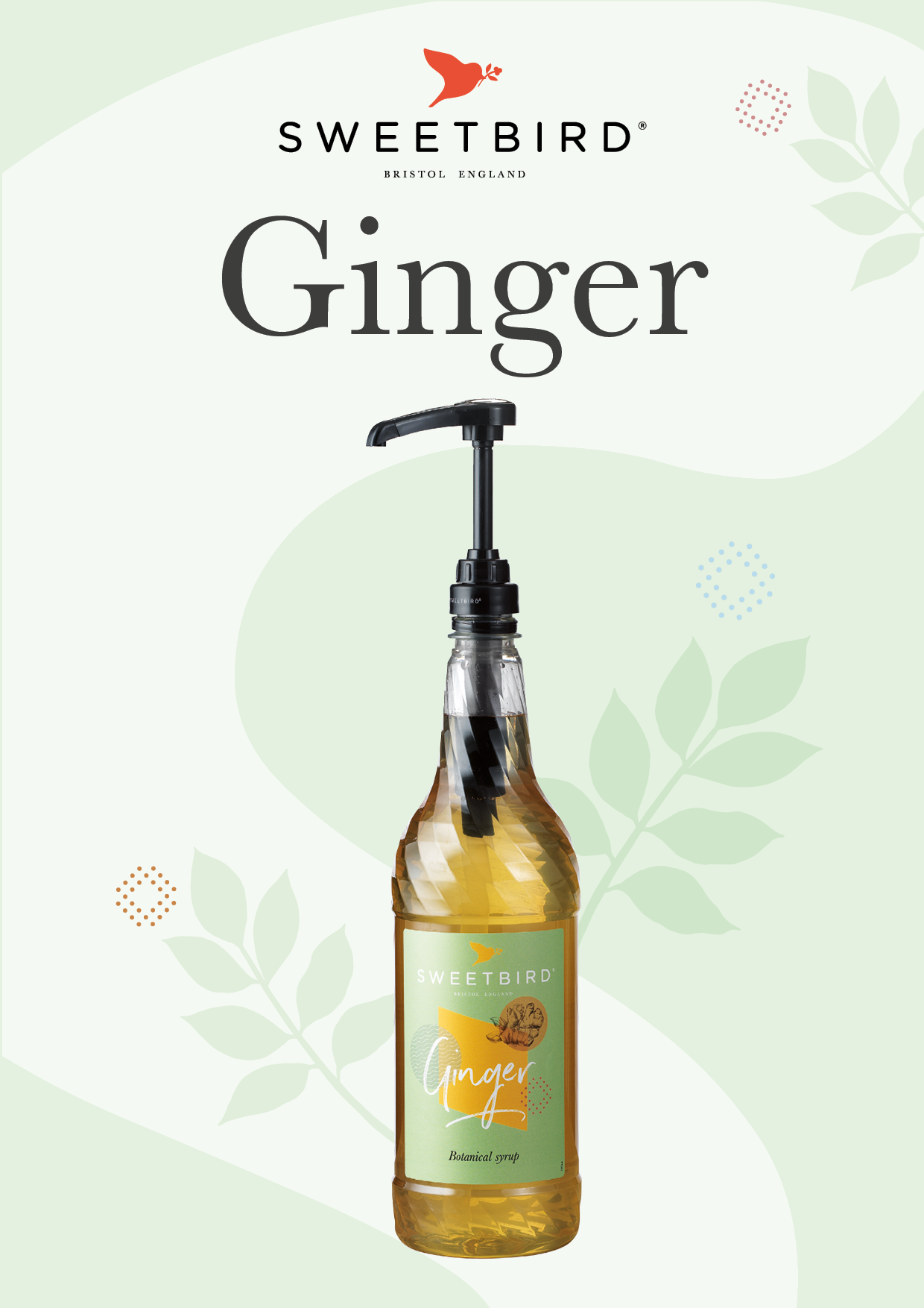 Ginger Syrup Recipe Sheet