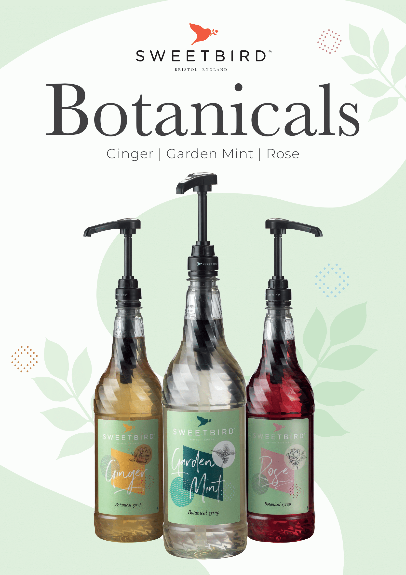Botanical Syrup Fact Sheet