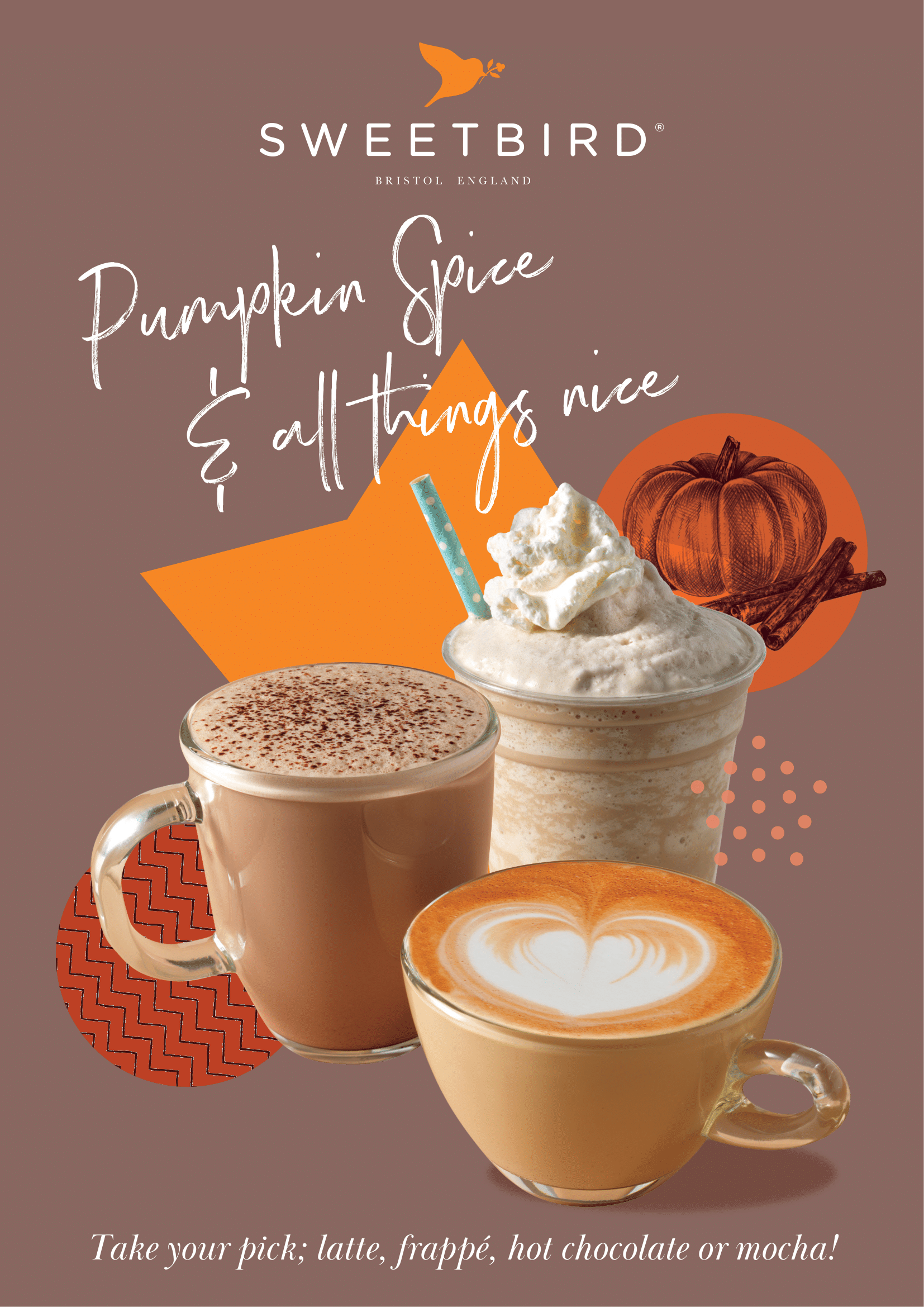 Everything Pumpkin Spice Poster