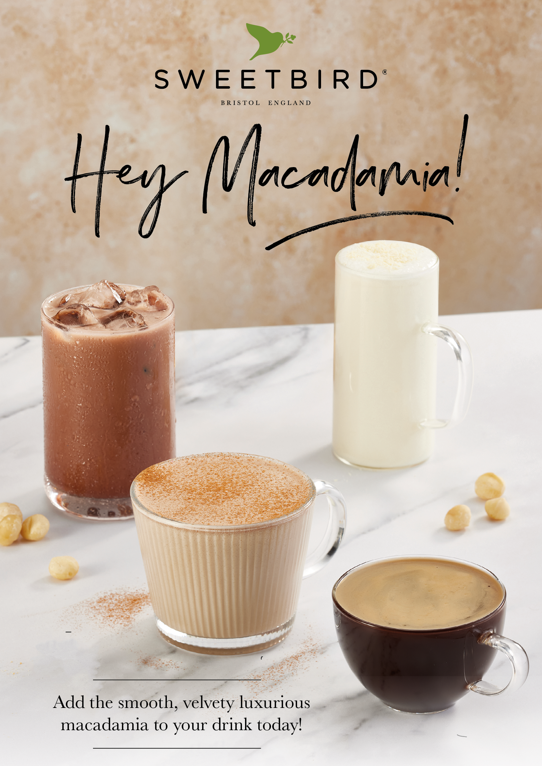 Macadamia Nut Syrup Poster V1